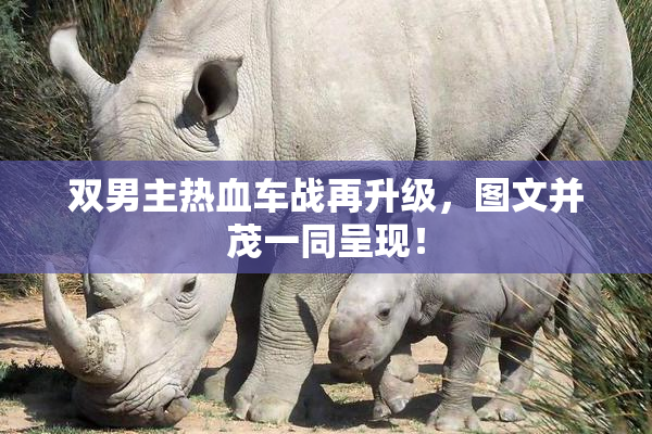 双男主热血车战再升级，图文并茂一同呈现！