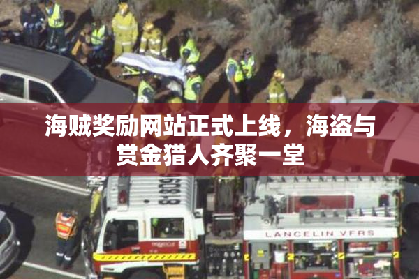 海贼奖励网站正式上线，海盗与赏金猎人齐聚一堂