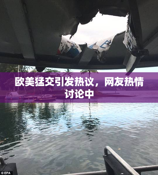 欧美猛交引发热议，网友热情讨论中