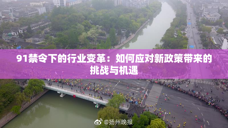 91禁令下的行业变革：如何应对新政策带来的挑战与机遇