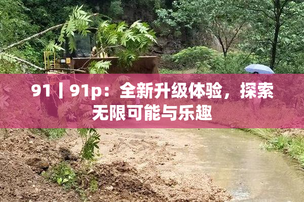 91丨91p：全新升级体验，探索无限可能与乐趣