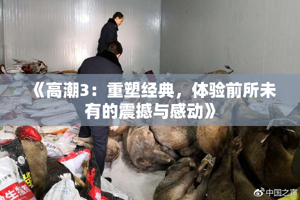 《高潮3：重塑经典，体验前所未有的震撼与感动》