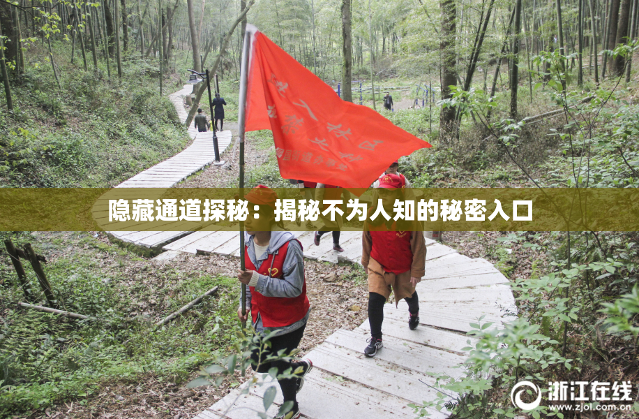 隐藏通道探秘：揭秘不为人知的秘密入口