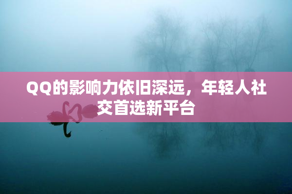 QQ的影响力依旧深远，年轻人社交首选新平台