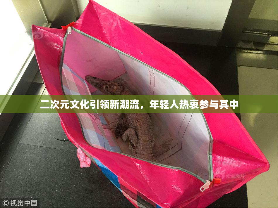 二次元文化引领新潮流，年轻人热衷参与其中