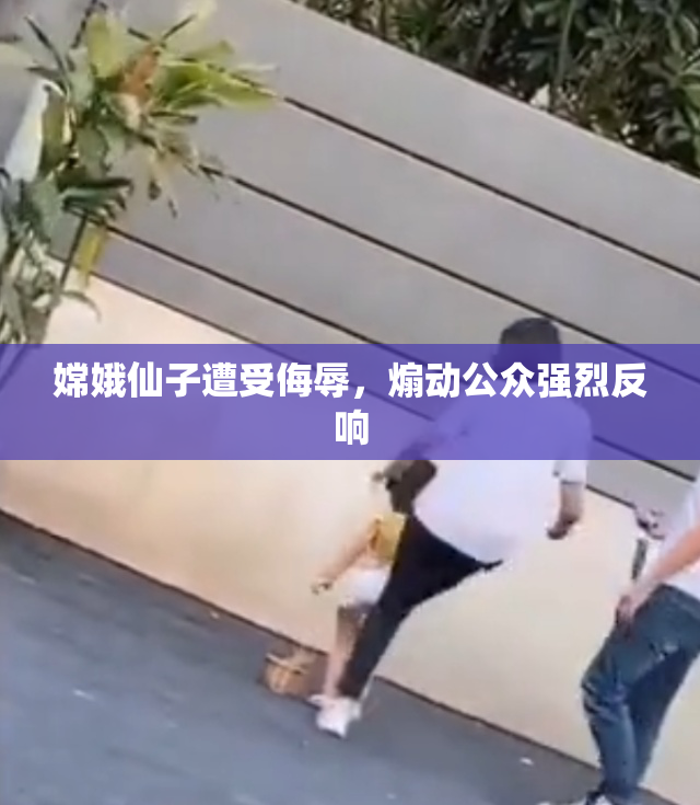 嫦娥仙子遭受侮辱，煽动公众强烈反响