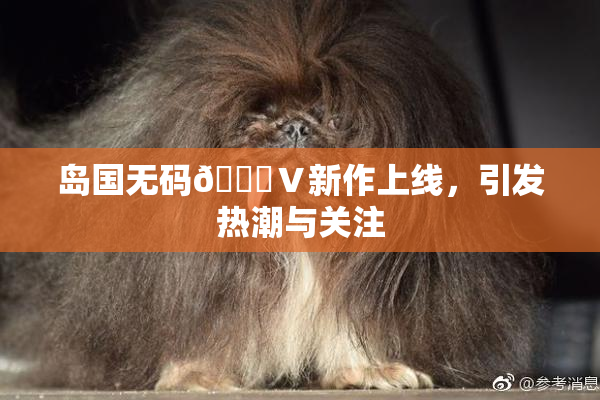 岛国无码🈚Ⅴ新作上线，引发热潮与关注