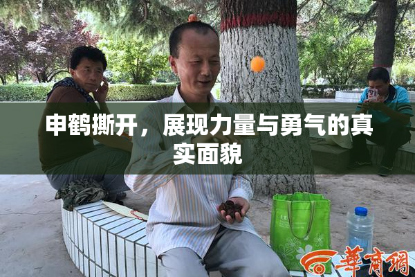 申鹤撕开，展现力量与勇气的真实面貌