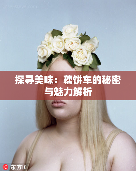 探寻美味：藕饼车的秘密与魅力解析