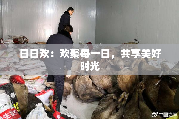 日日欢：欢聚每一日，共享美好时光