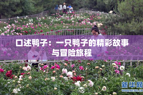 口述鸭子：一只鸭子的精彩故事与冒险旅程