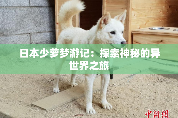 日本少萝梦游记：探索神秘的异世界之旅
