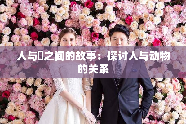 人与嘼之间的故事：探讨人与动物的关系