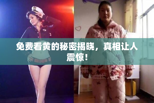 免费看黄的秘密揭晓，真相让人震惊！