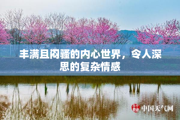 丰满且闷骚的内心世界，令人深思的复杂情感