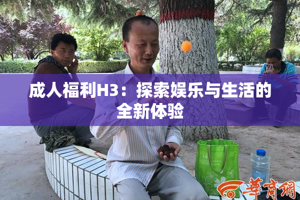成人福利H3：探索娱乐与生活的全新体验