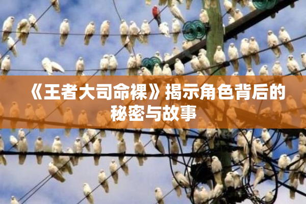 《王者大司命裸》揭示角色背后的秘密与故事