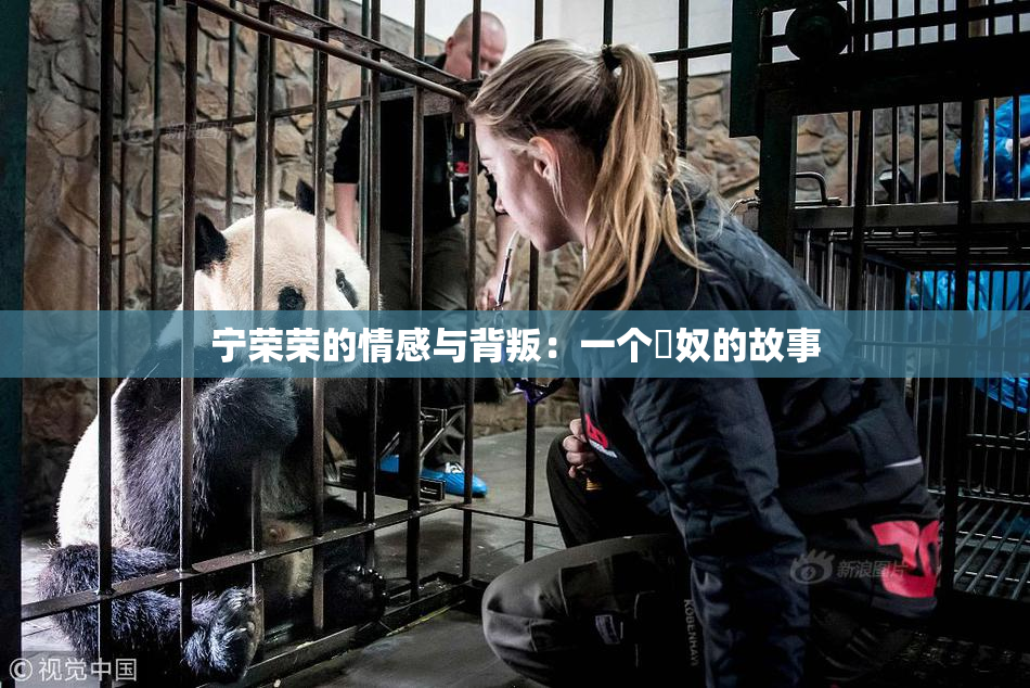 宁荣荣的情感与背叛：一个婬奴的故事