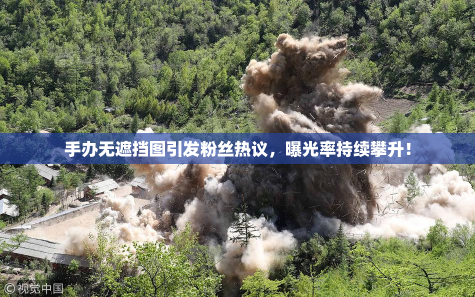 手办无遮挡图引发粉丝热议，曝光率持续攀升！