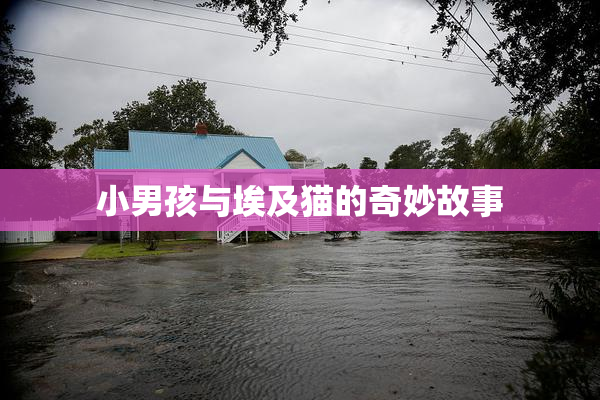 小男孩与埃及猫的奇妙故事