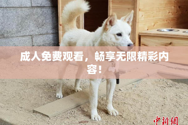 成人免费观看，畅享无限精彩内容！