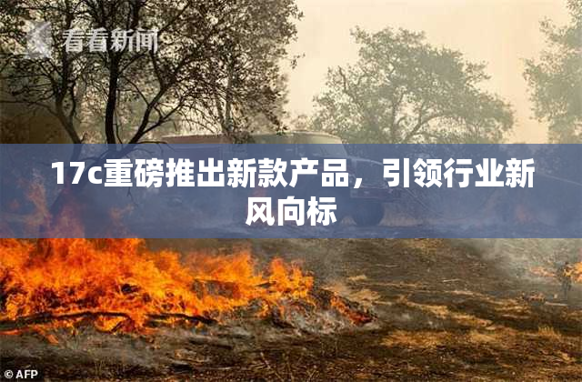 17c重磅推出新款产品，引领行业新风向标