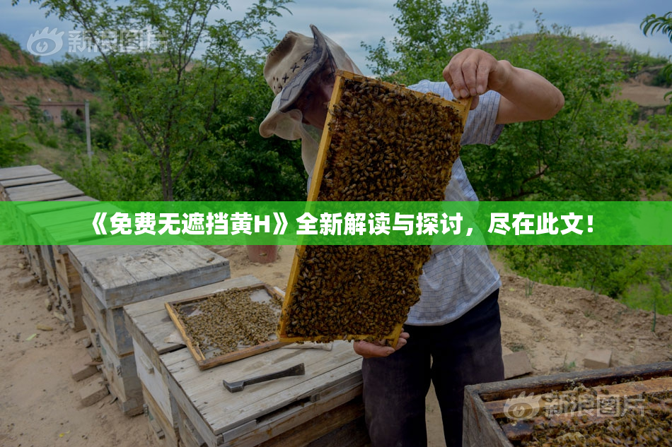 《免费无遮挡黄H》全新解读与探讨，尽在此文！