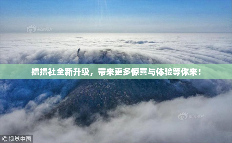撸撸社全新升级，带来更多惊喜与体验等你来！