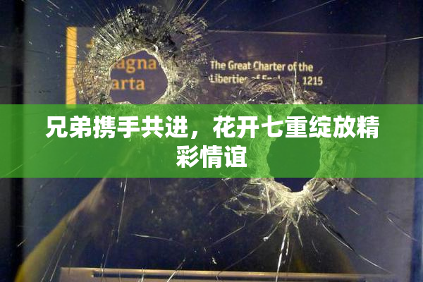 兄弟携手共进，花开七重绽放精彩情谊