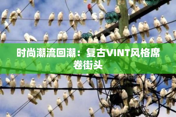 时尚潮流回潮：复古VINT风格席卷街头