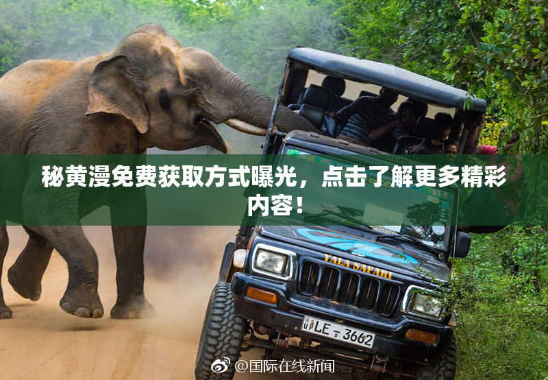 秘黄漫免费获取方式曝光，点击了解更多精彩内容！