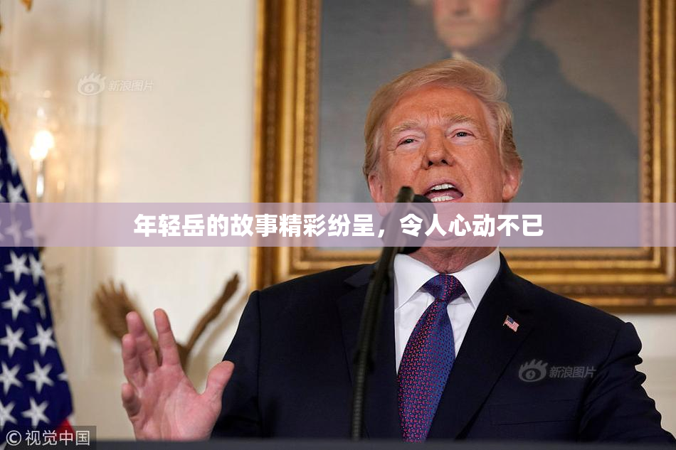 年轻岳的故事精彩纷呈，令人心动不已