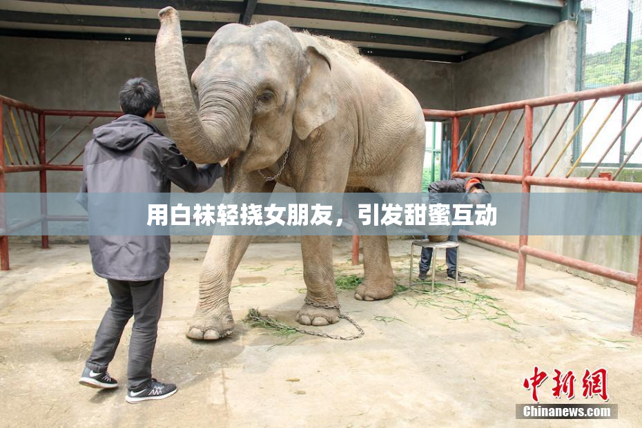 用白袜轻挠女朋友，引发甜蜜互动