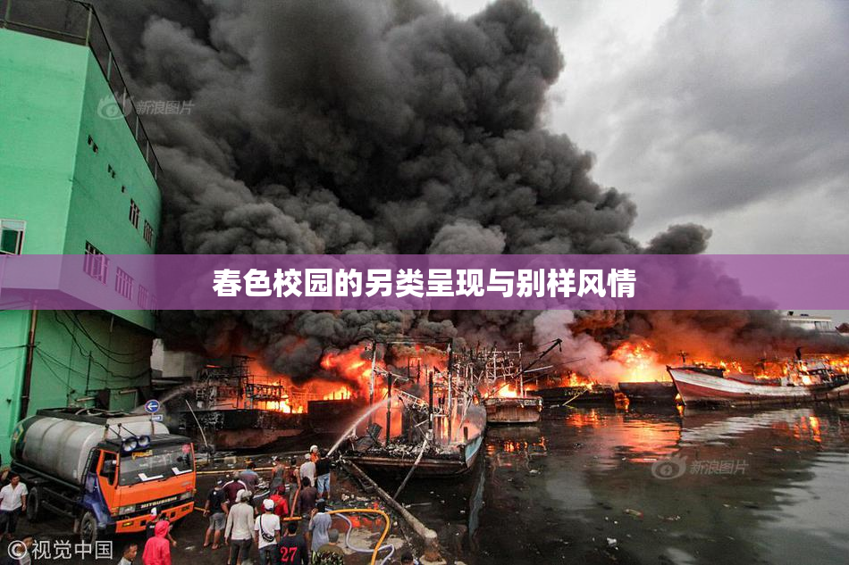 春色校园的另类呈现与别样风情