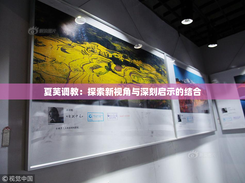 夏芙调教：探索新视角与深刻启示的结合