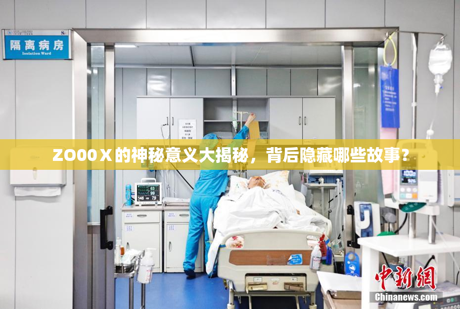 ZO00Ⅹ的神秘意义大揭秘，背后隐藏哪些故事？