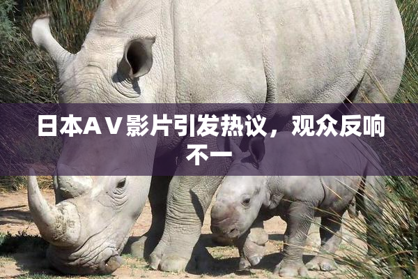 日本AⅤ影片引发热议，观众反响不一