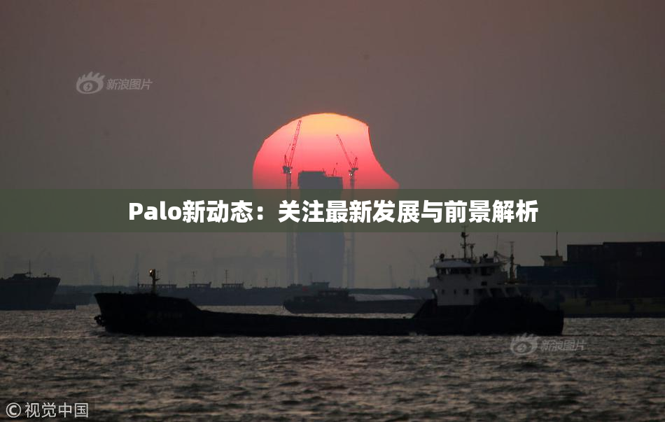 Palo新动态：关注最新发展与前景解析