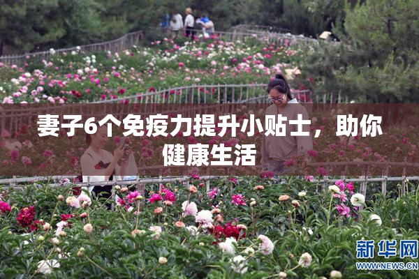 妻子6个免疫力提升小贴士，助你健康生活