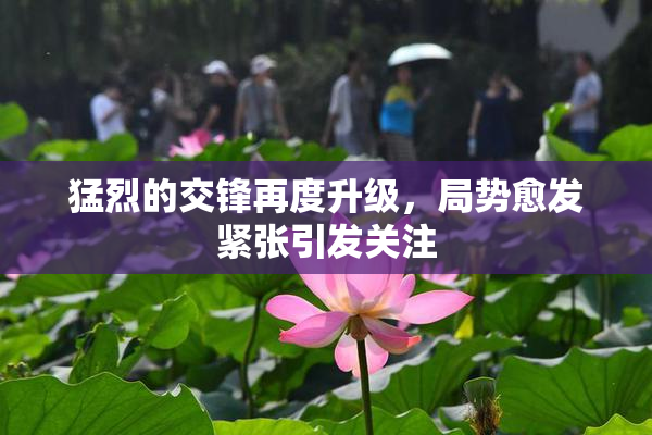 猛烈的交锋再度升级，局势愈发紧张引发关注