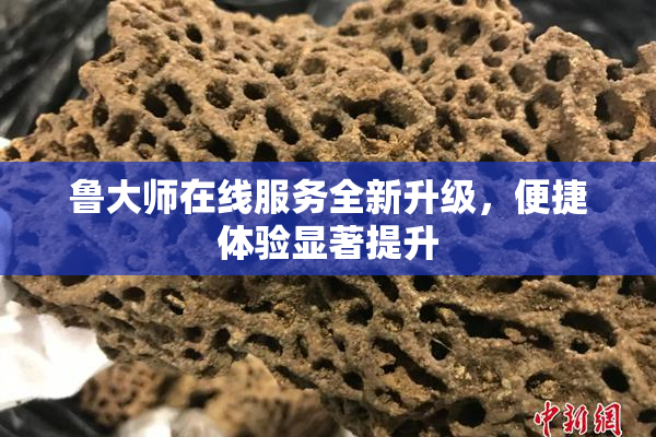 鲁大师在线服务全新升级，便捷体验显著提升