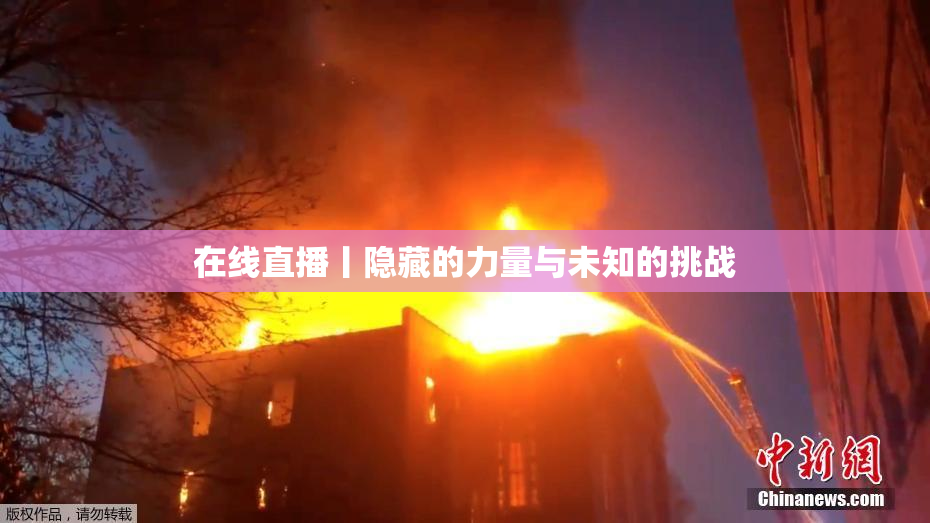 在线直播丨隐藏的力量与未知的挑战