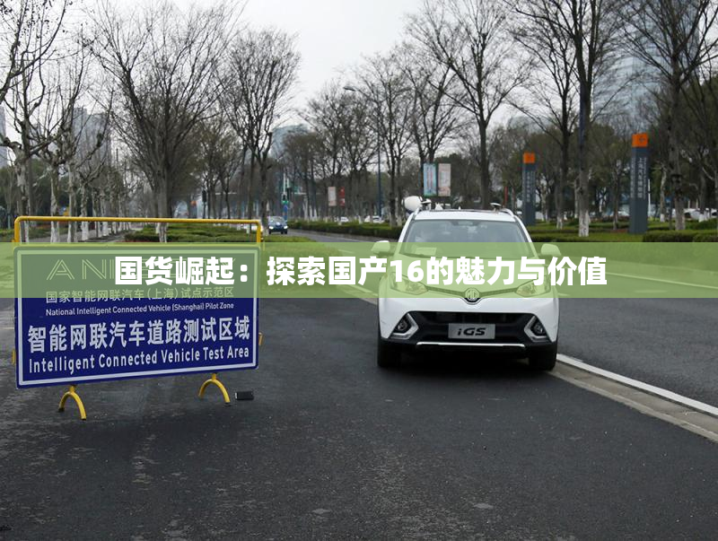 国货崛起：探索国产16的魅力与价值
