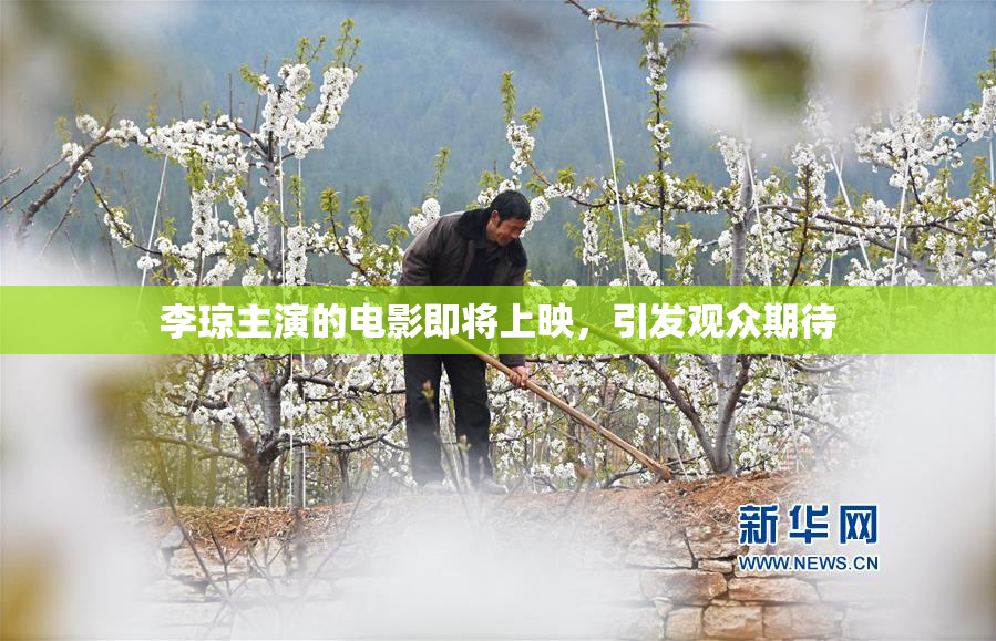李琼主演的电影即将上映，引发观众期待