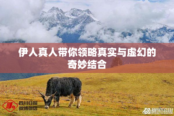 伊人真人带你领略真实与虚幻的奇妙结合