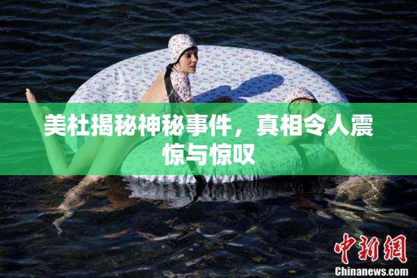美杜揭秘神秘事件，真相令人震惊与惊叹