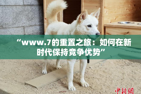 “www.7的重置之旅：如何在新时代保持竞争优势”