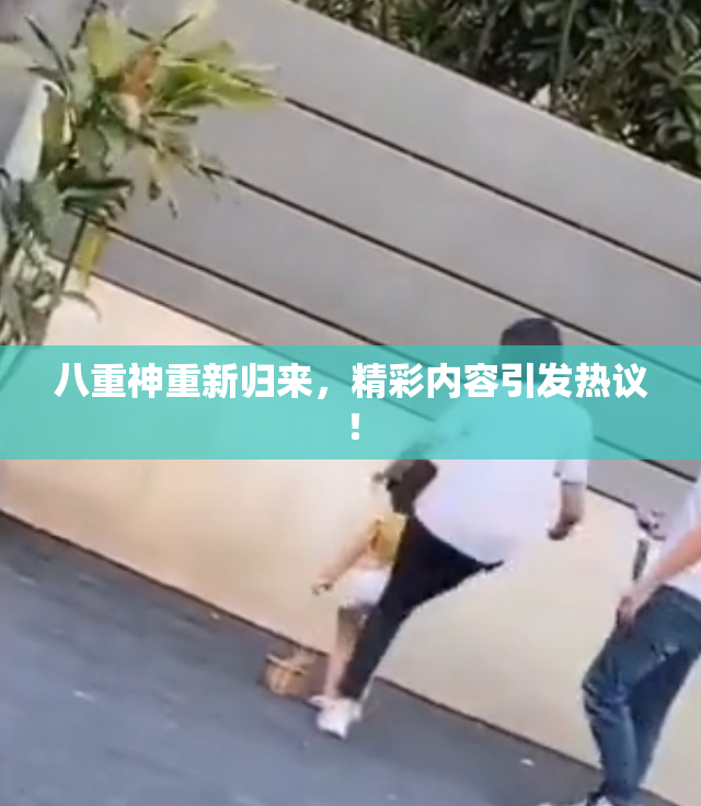 八重神重新归来，精彩内容引发热议！