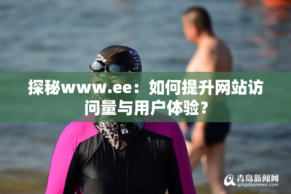 探秘www.ee：如何提升网站访问量与用户体验？