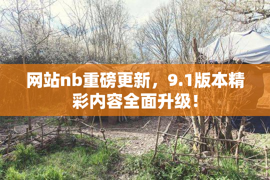 网站nb重磅更新，9.1版本精彩内容全面升级！